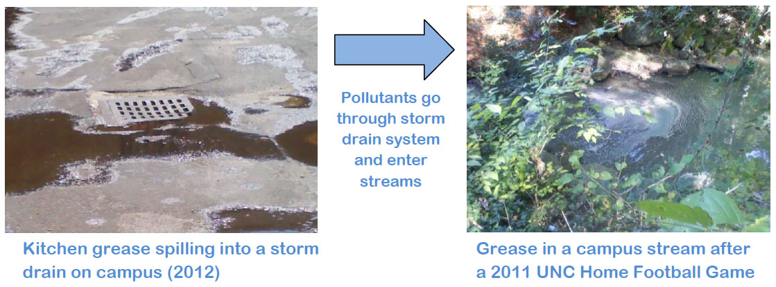 Grease goes from storm drain to campus stream