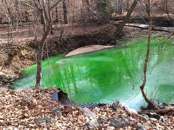 Green Dye in Creek